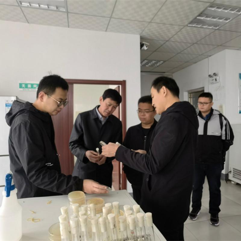 临邑县及孟寺镇政府领导莅临劲牛集团考察洽谈吨半粮等项目合作