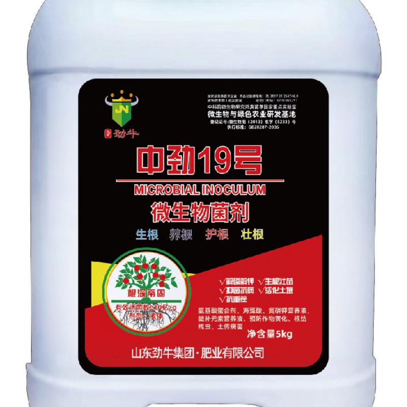 中劲19号·发酵原液