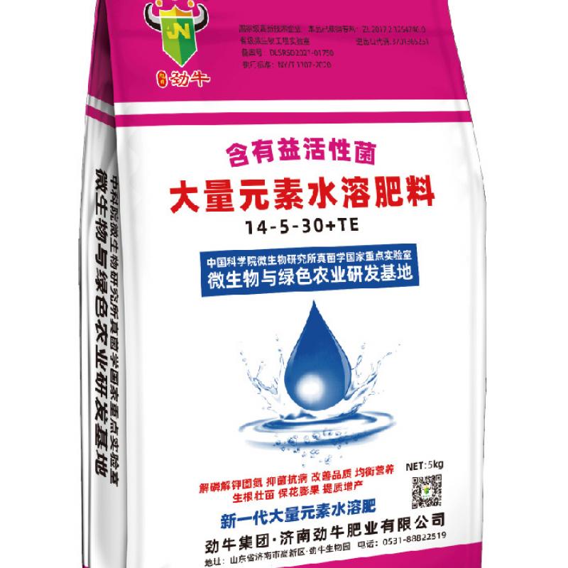 大量元素水溶肥高钾型