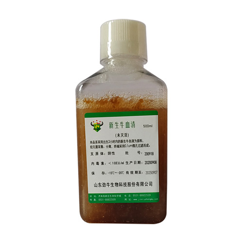 胎牛血清 胎牛血清