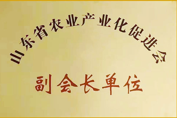 荣誉资质