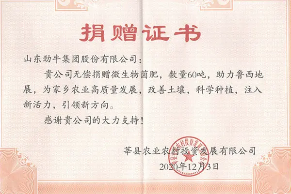 荣誉资质
