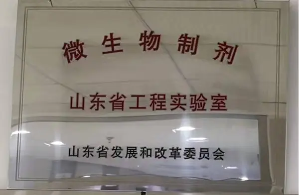 荣誉资质