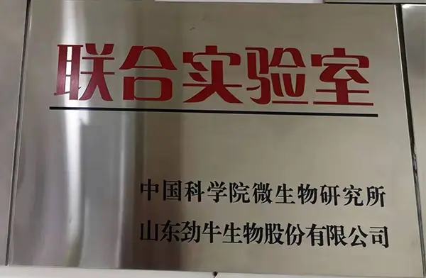 荣誉资质