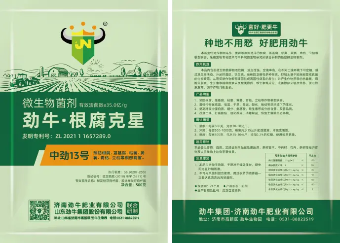 1736009320977726.png 网站图=中劲13号_3双.png